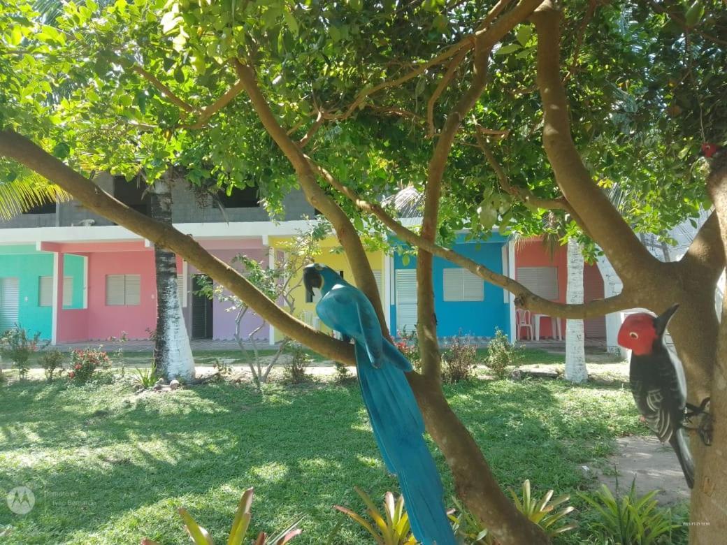 Pousada Praia De Tairu Armacao do Tairu Exterior photo